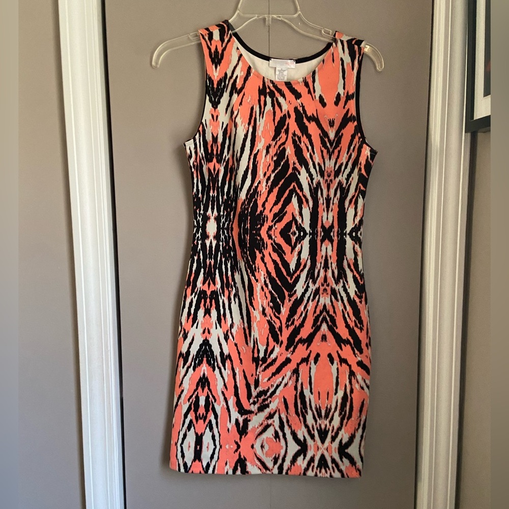 Tiger Print Dress